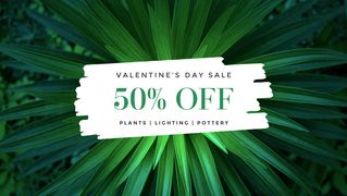 Valentine's Day 50% Off Sale